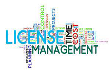 software licensing